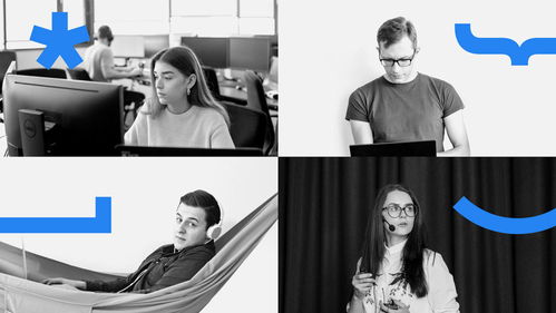 Baltic Amadeus 定制軟件開發(fā)與品牌形象設(shè)計(jì)的完美融合